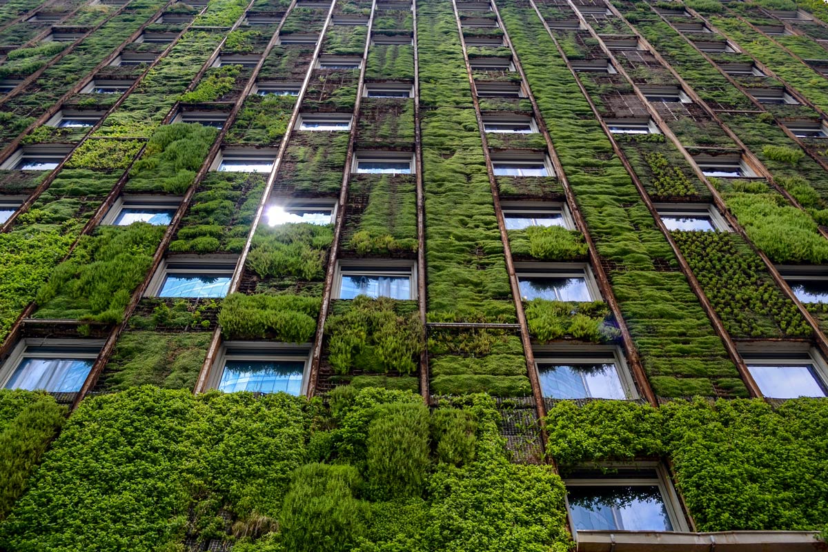 Wall of windows with greenery around