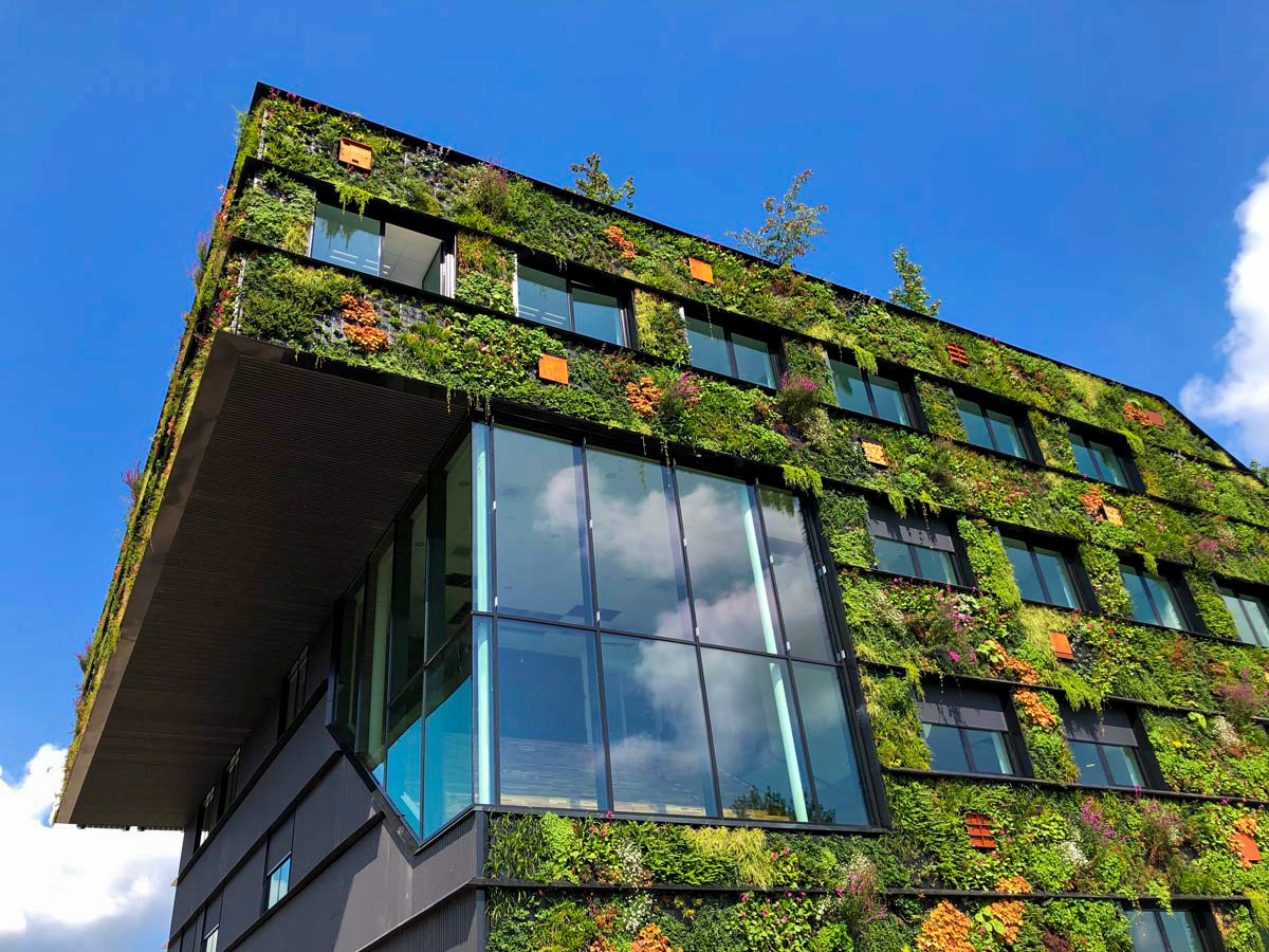 Navigating the Challenges of Sustainability Policy in the UK Construction Industry