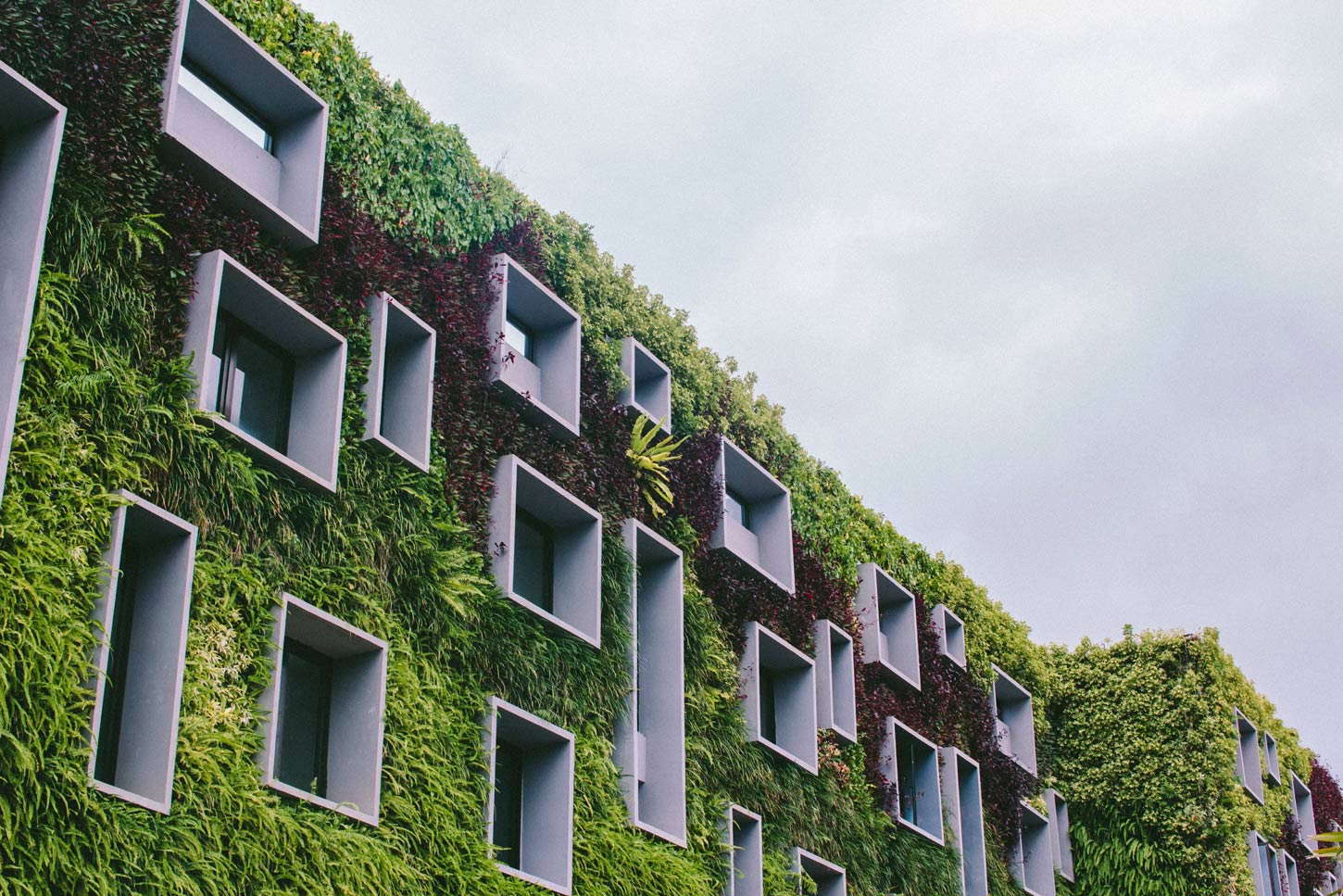 Modern building exterior with living walls